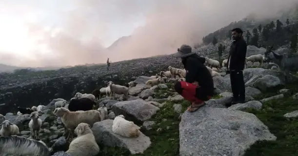 Two Friends Enjoying Striking View of Nature at Snowline Laka Trek