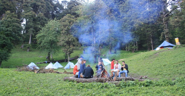 A collection of folks sitting around a campfire in the woods, enjoying a night of storytelling and camaraderie.