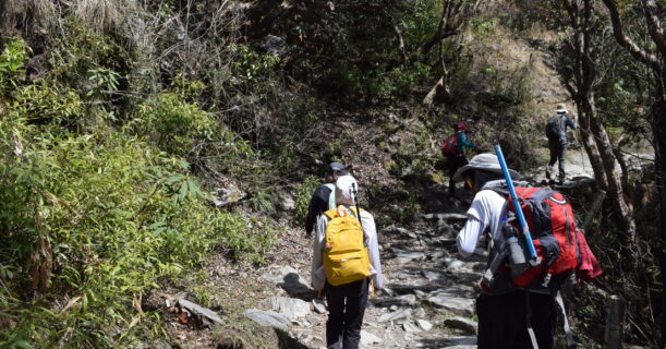 Hikers trekking along the ancient Inca Trail with stunning mountain views.