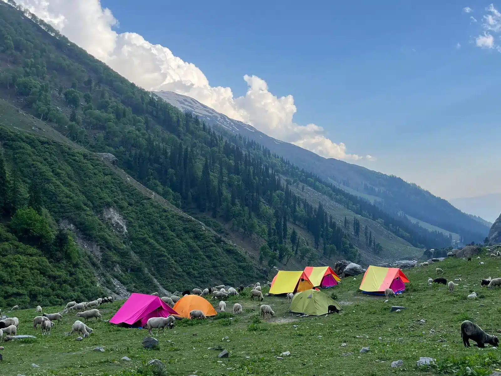 hampta pass trek