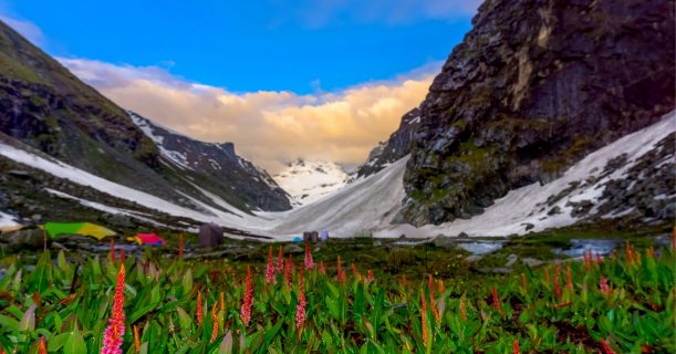 A Stunning View of Hampta Pass Showing Mountains and Flowers