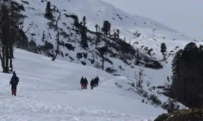 Collection of hikers trekking through the snowy mountain landscape.