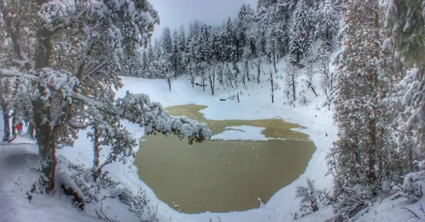 Snow-covered pond surrounded by bare trees in winter.