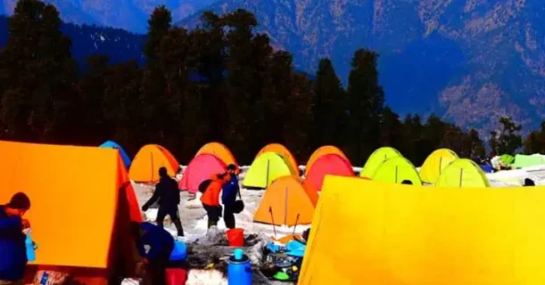 Tents pitched on a mountain slope, surrounded by trees and under a clear sky.