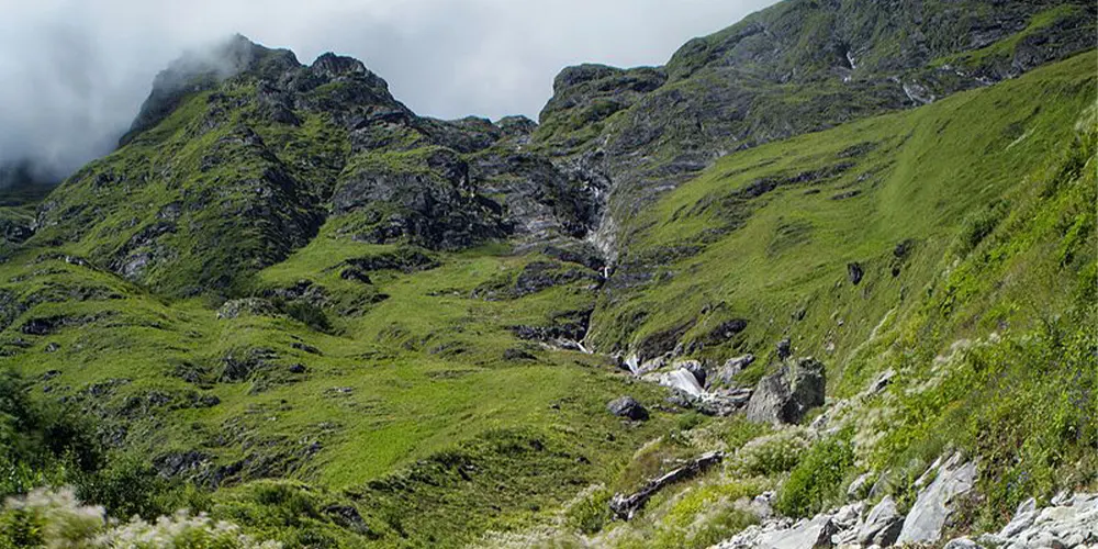 Valley of Flowers