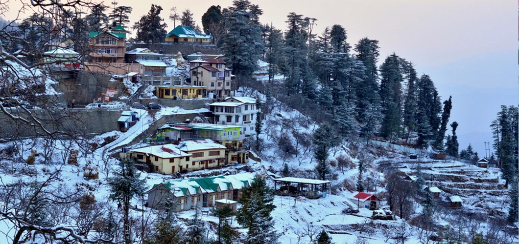 DharamShala-in-Winter
