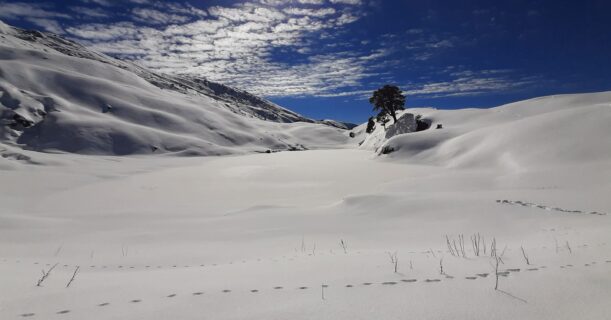Snow-covered Brahmatal trek trail in December to March season
