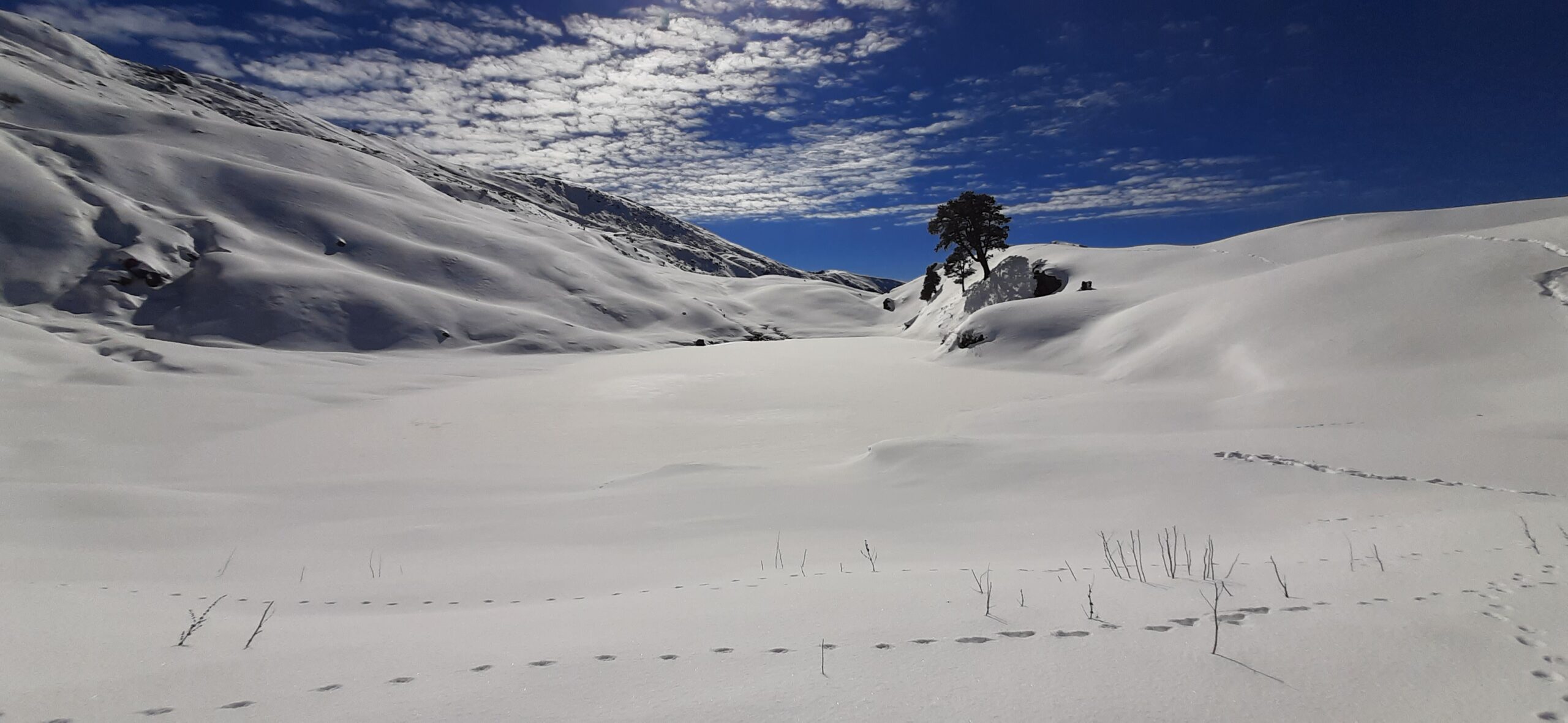 Snow-covered Brahmatal trek trail in December to March season