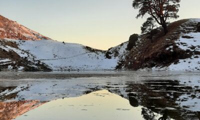Brahmatal Lake reflecting snow-covered hills and a lone tree during winter trek in Uttarakhand Himalayas