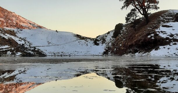 Brahmatal Lake reflecting snow-covered hills and a lone tree during winter trek in Uttarakhand Himalayas