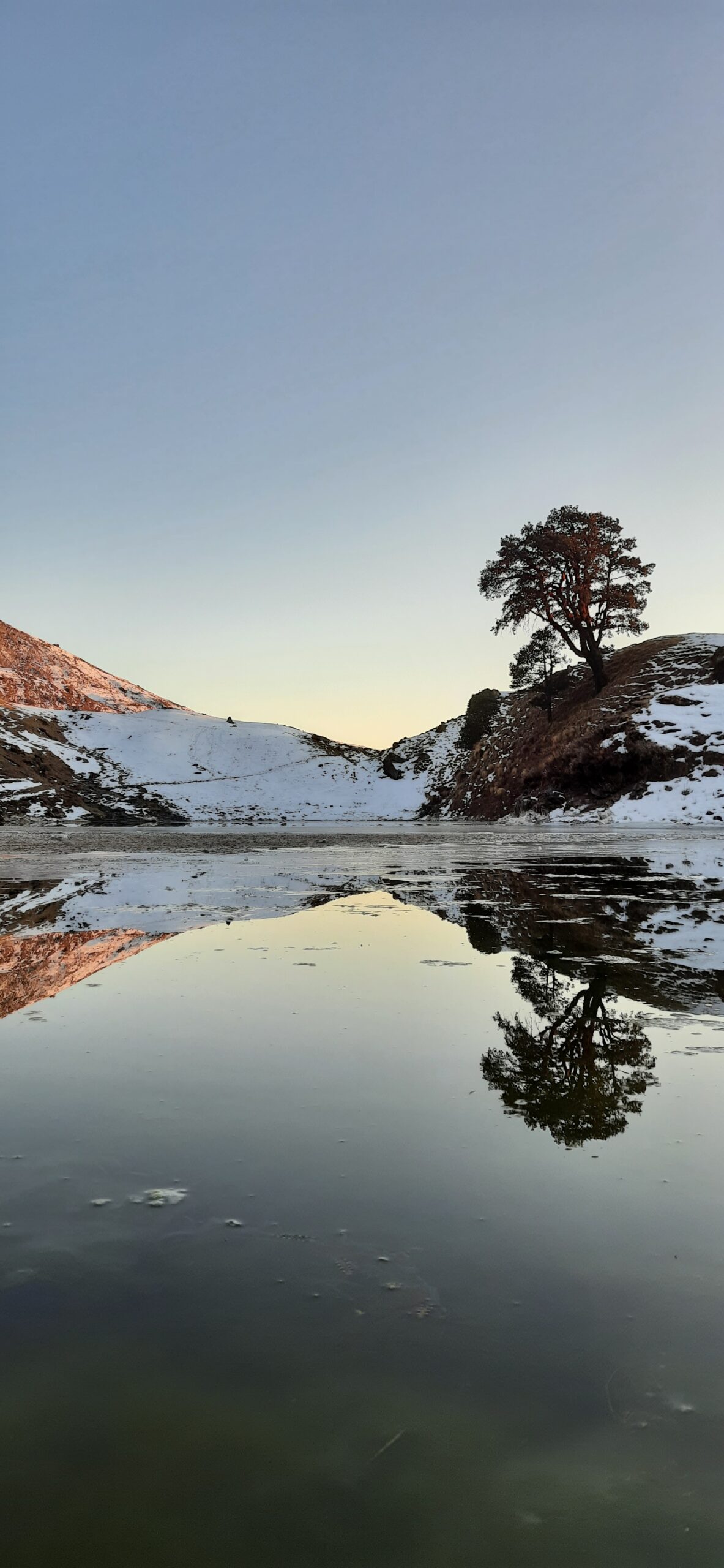 Brahmatal Lake reflecting snow-covered hills and a lone tree during winter trek in Uttarakhand Himalayas