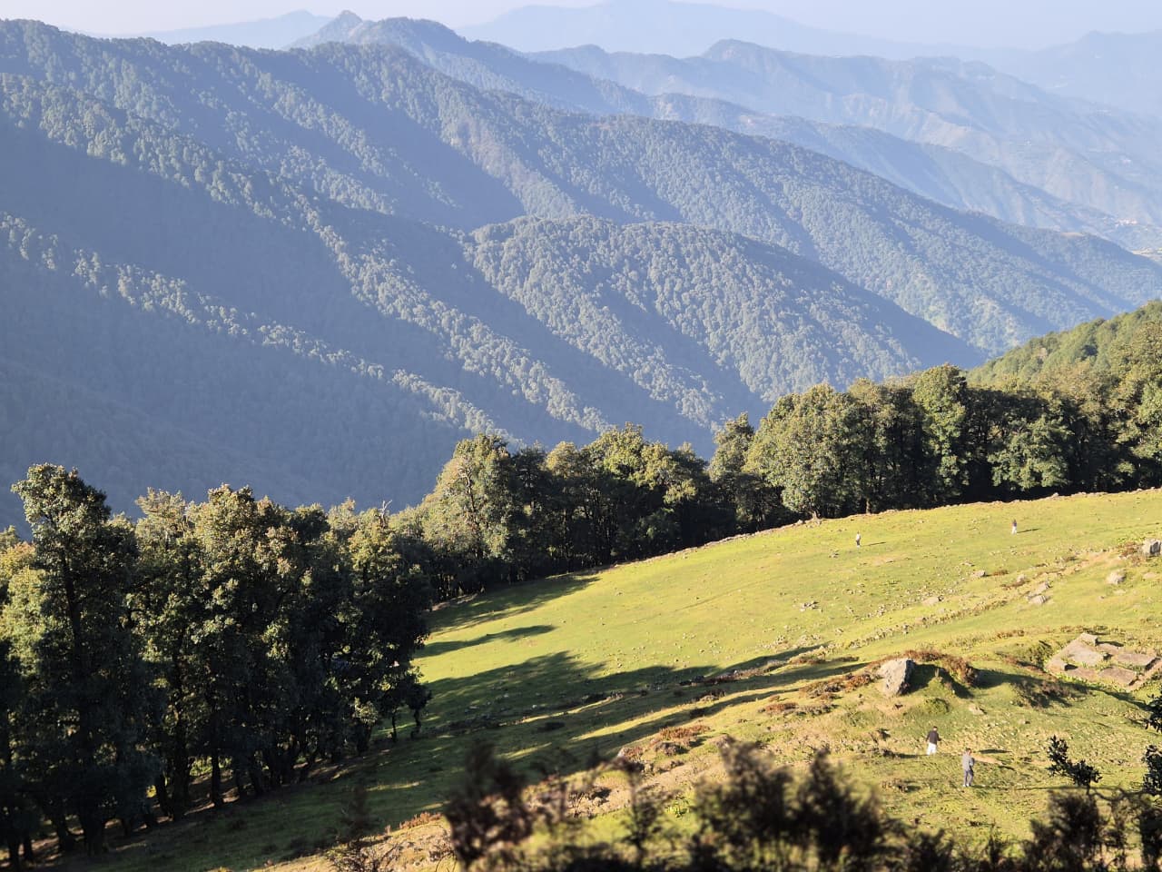 Expansive green meadow surrounded by dense oak and rhododendron forests on the Nag Tibba trek route.