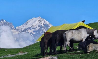 Horses at a Beas Kund Trek