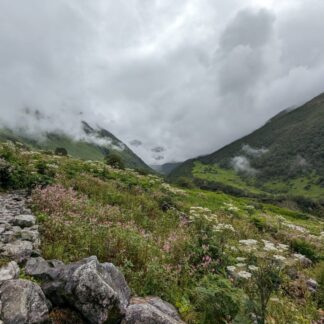 Valley of Flowers