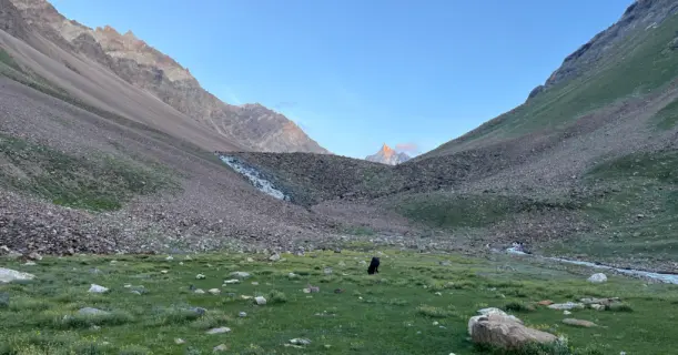 Morning view of a lush meadow near Phustirang campsite on Pin Bhaba Pass trek route