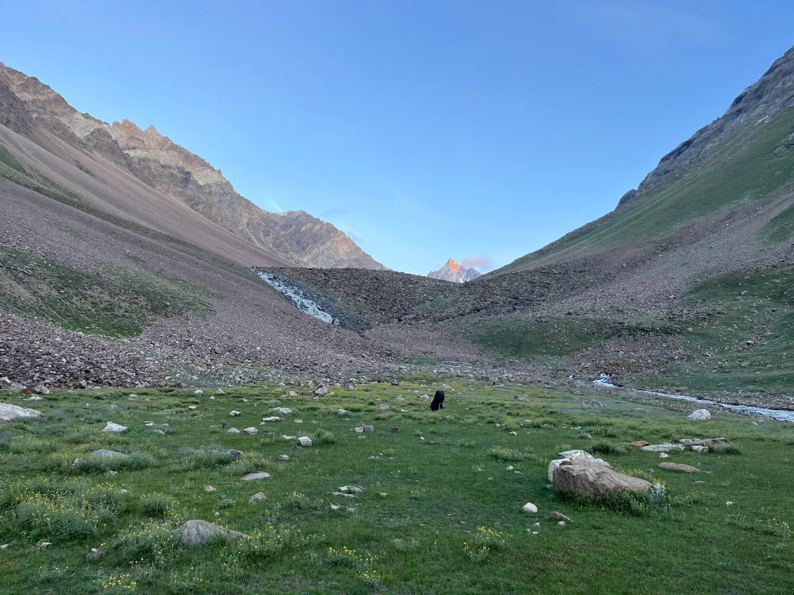 Morning view of a lush meadow near Phustirang campsite on Pin Bhaba Pass trek route