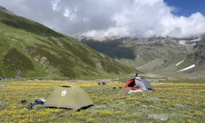 Tents pitched in alpine meadows with yellow wildflowers on the Pin Bhaba Pass trek