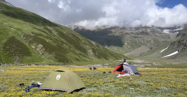 Tents pitched in alpine meadows with yellow wildflowers on the Pin Bhaba Pass trek