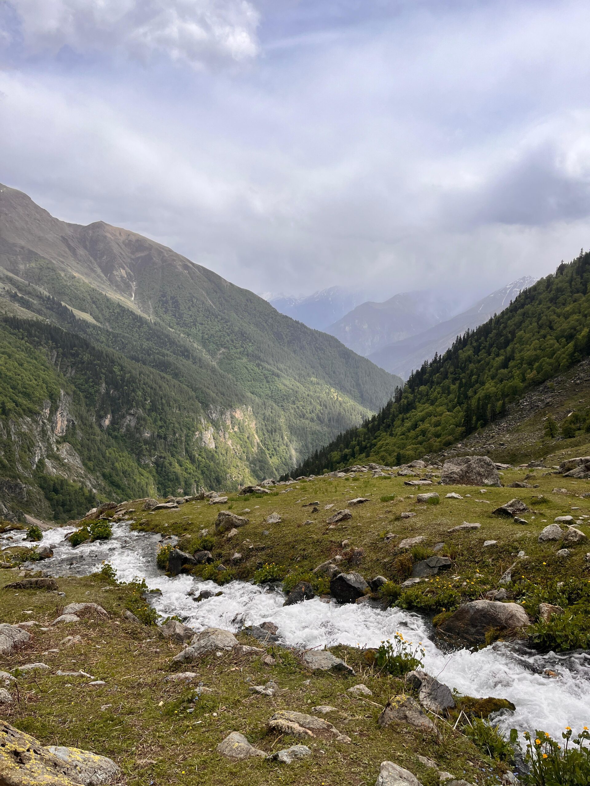 Flowing mountain stream through green valleys and forested slopes on the Yulla Kanda trek in Himachal Pradesh