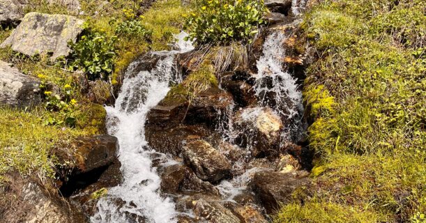 Fresh mountain stream flowing through rocks and alpine meadows on the Yulla Kanda trek trail in Himachal Pradesh