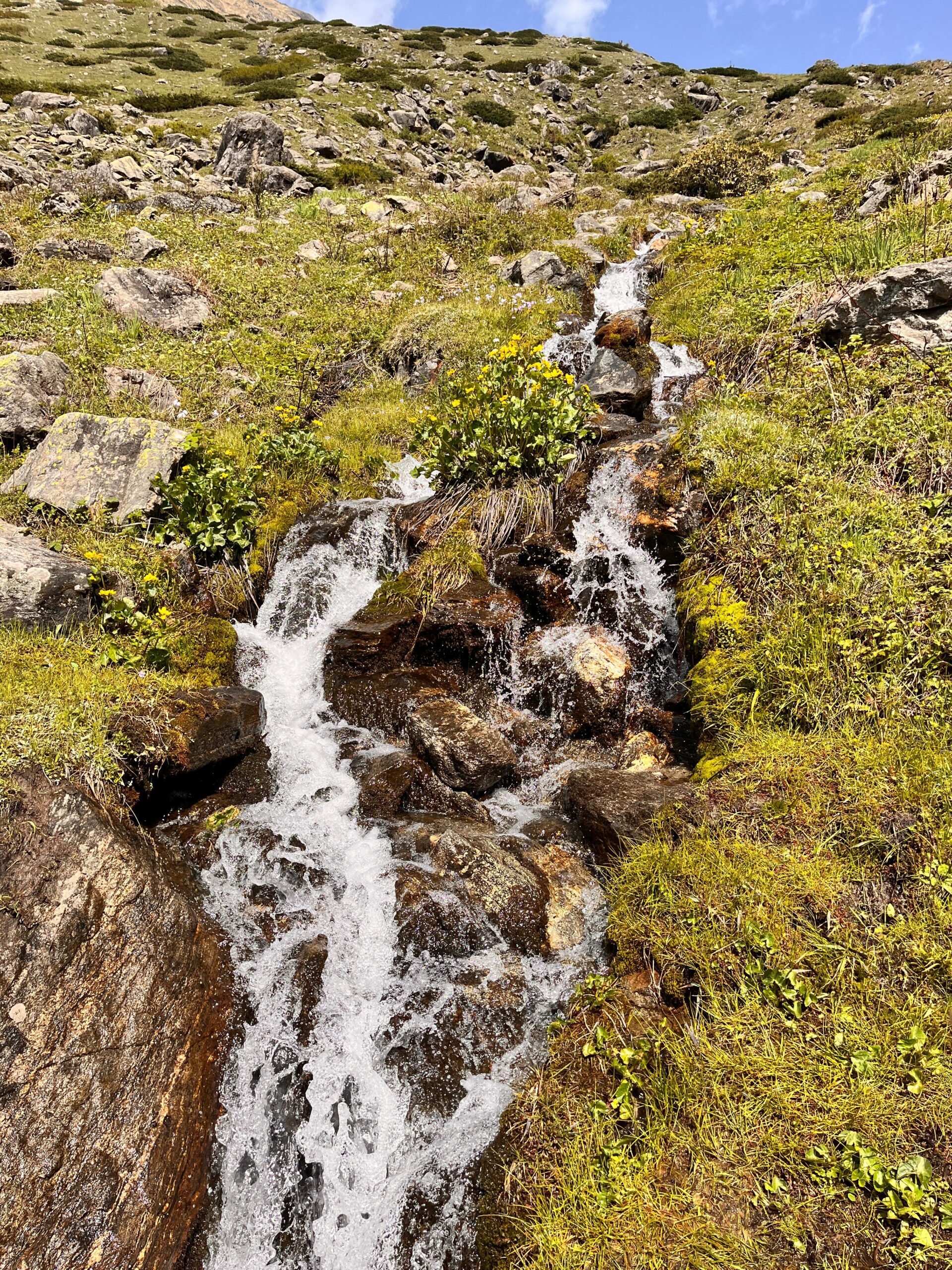 Fresh mountain stream flowing through rocks and alpine meadows on the Yulla Kanda trek trail in Himachal Pradesh