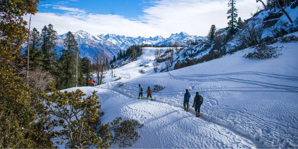 Snowline Trek