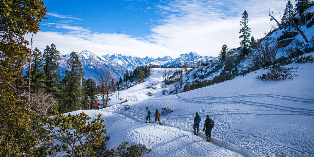 How Difficult Is the Valley of Flowers Trek