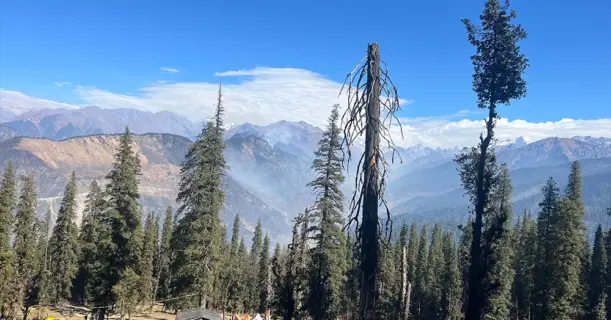 Landscape featuring mountains and trees
