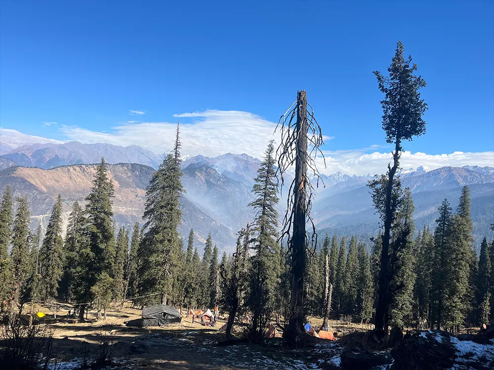 Landscape featuring mountains and trees